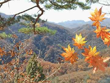 唯井最新动态，引领行业潮流，展现独特魅力风采